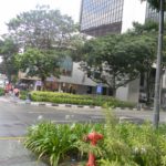 DSCN3263
